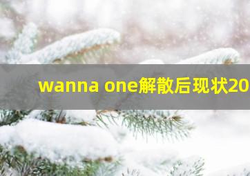 wanna one解散后现状2020